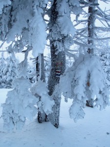 2001.12.15 15.20.50.jpg